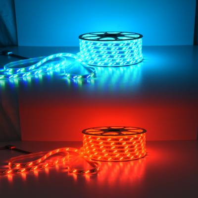 China LANDSCAPE Epistar Chip Rgb Led Strip Ultra IP65 220v Bright Pixel RGB Dream Color Led Strip for sale