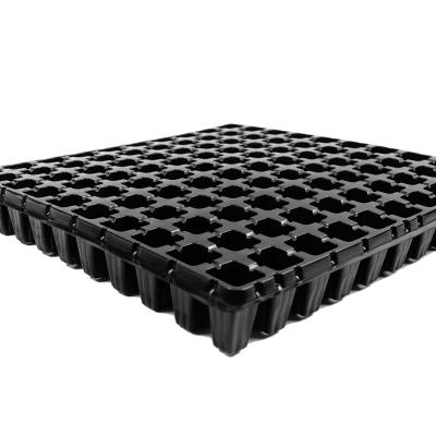 China Eco-friendly 100-Hole Seed Planting Rice and Vegetable Seedling Cultivation Tray for sale