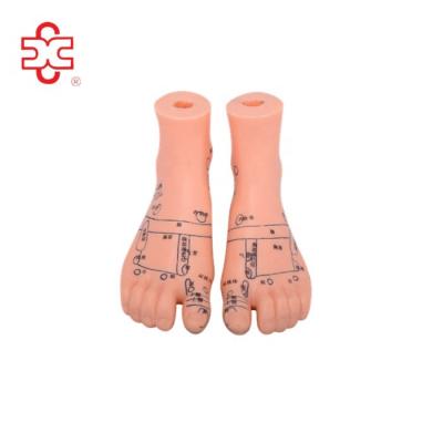 China PVC Massage Foot Acupuncture Model With 2 Size (12cm, 17cm) for sale