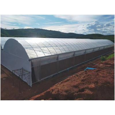 China Sent with greenhouse accessories elevate green house greenhouse dehumidifier department tunnel pvc light industrial poly greenhouse sale price for sale