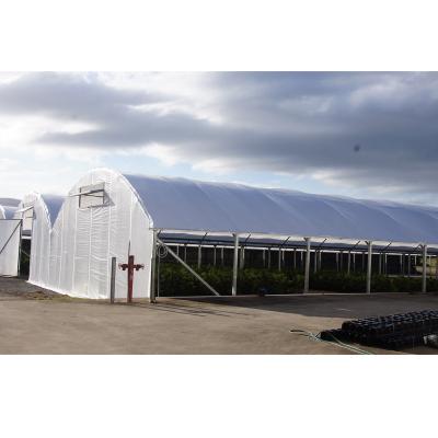 China Sent with plastic greenhouse accessories agriculture greenhouse frame single-span tunnel light deprivation greenhouse used for sale for sale