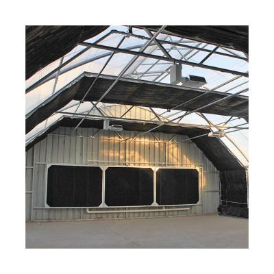 China Will Sent With Greenhouse Plastic Film Blackout Tunnel Greenhouse For Sale for sale