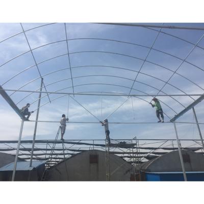 China Cheap Film Hot Dip Galvanized Steel Frame Green House Structures for sale