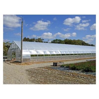 China Poly Film PC Sheet Tunnel Greenhouse For Sale for sale