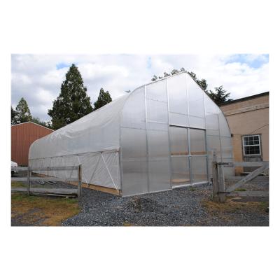 China Polycarbonate Film Single Span Cooling Greenhouses Tunnel Strawberry Greenhouse for sale