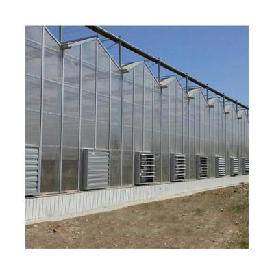 China Hydroponic Film Tomato Greenhouse Beams PC Solar Glass Greenhouse for sale