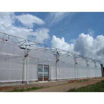 China Agricultural In-Solar Film Greenhouses Made In China for sale