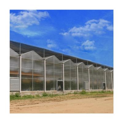 China Passive Solar Film Polycarbonate Greenhouse For Sale for sale