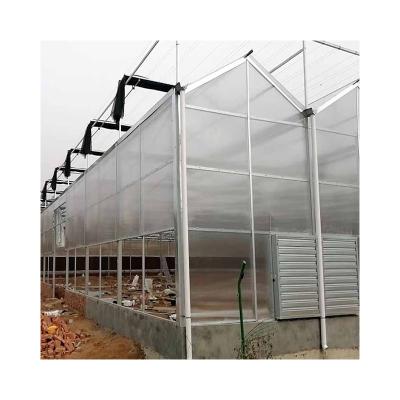 China Film Glass Greenhouse Passive Solar Greenhouse for sale