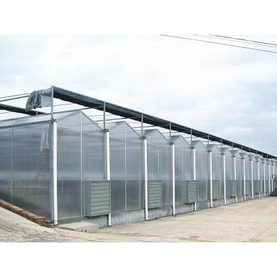 China Will Sent With Plastic Greenhouse Polycarbonate Greenhouse Dehumidifier Flim And Frame for sale