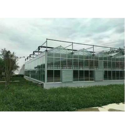 China Film Fiberglass Greenhouse Covering Garden Glass Greenhouse For Sale for sale