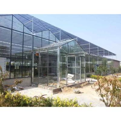 China Victorian Glass Film Greenhouse Panels For Sale for sale