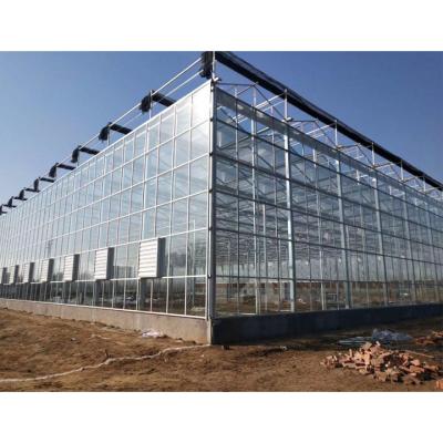 China Film Greenhouse Gothic Greenhouse With Greenhouse Fiberglass Panels for sale