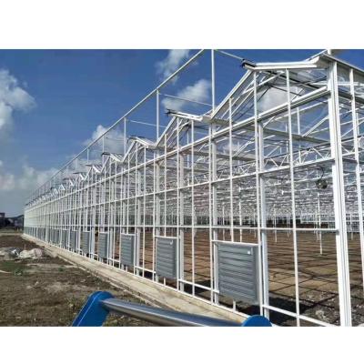 China Film glass greenhouses for agriculture price for sale