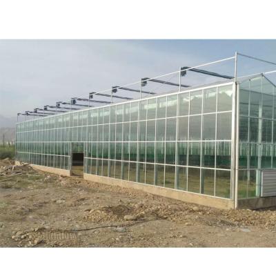 China Film Garden Fiberglass Glass Greenhouse With Fiberglass Greenhouse Covering for sale