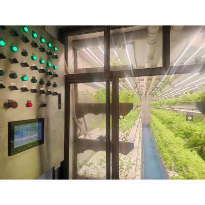 China The portable film hot sale microgreen the superfarm greenhouse for sale