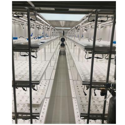 China Film Strawberry Agricultural Hydroponics Supplies Container Greenhouse For Strawberries for sale