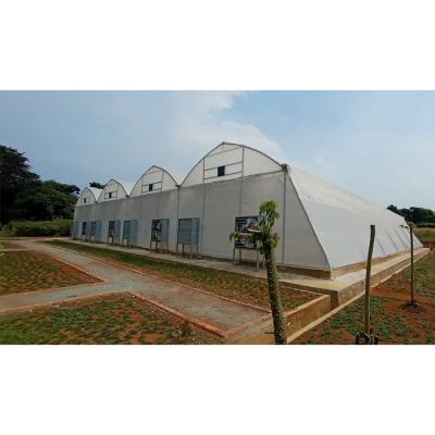 China Small movie greenhouses fan and other set of accessories for sale