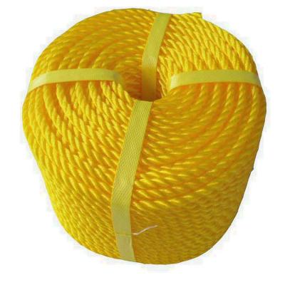 China Fishing/Mooring/Agriculture PE Rope for sale