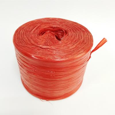 China Plastic PP Rope /pp Raffia Twine Packing Rope for sale