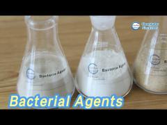 Anaerobic Bacterial Agents 10 Billion /G High Effective For Water Treatment