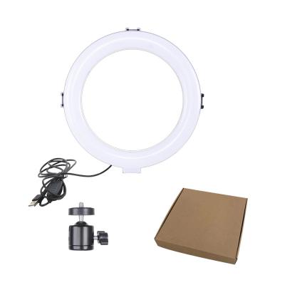 China Flash 8 Inch 20cm USB Connect Selfie Live Led Circle LED Ring Light Makeup Tripod 2m Stand 1.6m Light Stand for sale