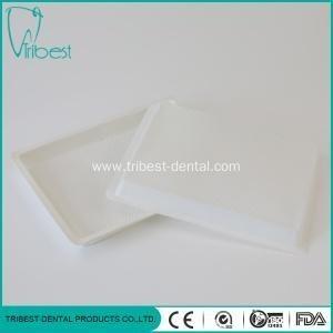 Cina 20.6x15.5cm Tray Inside Unseparated Spot Surface di plastica dentario in vendita