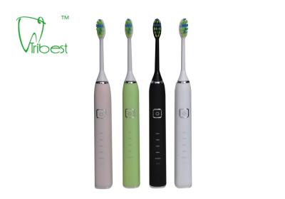 China Rechargeable 5V Portable Sonic Electric Toothbrush for sale