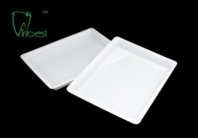 China 20.6x15.5cm kleiner Plastikwegwerfinstrument-Behälter zu verkaufen