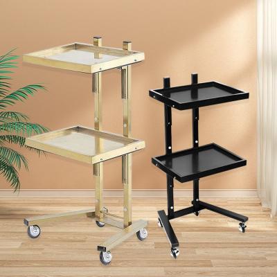 China Bset Quality Ultrasound Machine Cashier Salon Trolley Trolley Beauty Cart White Metal Style Modern Packing Furniture for sale