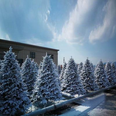 China Christmas Tree Decoration 2021 5M Christmas Craft Decoration Christamas Home For Christmas Outdoor Decoration for sale