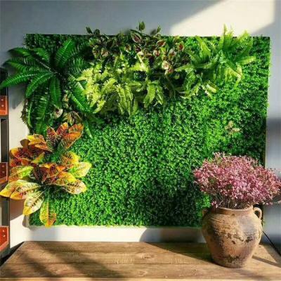 China Factory D1205 High Simulation Plant Wall Natural Artificial Touch / Grass Wall Eco-friendly Wholesale Artificial Green Hedge Board for sale