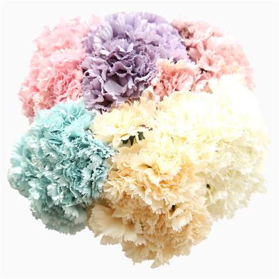 China Mother's Day Environmental Friendly Artificial Carnation V-1183 Caryophyllus Bouquet Carnation Bridal Flower For Decoration for sale