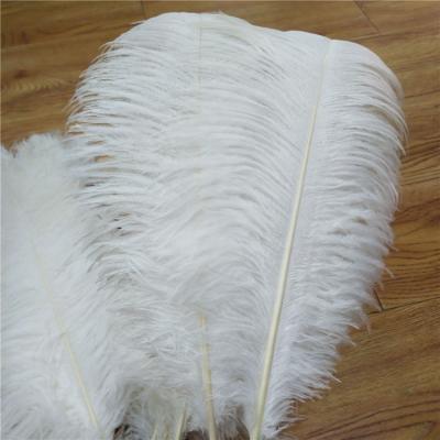 China High Quality Party V-1182 60-65cm Ostrich Feather For Event Decoration for sale