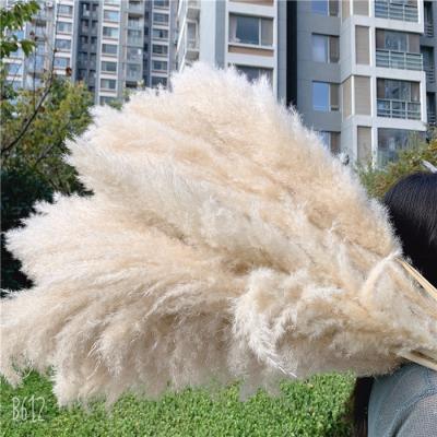 China Wholesale 90CM Brown Wedding Decoration F-1592 Discount Natural Dry Flowers Large Size Dried Pampas Grass for sale