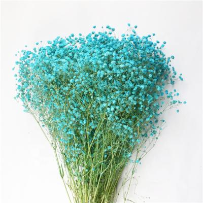 China V-1196 Durable Real Life Touch Gypsophila Dried Baby's Breath Bouquet For Decoration for sale