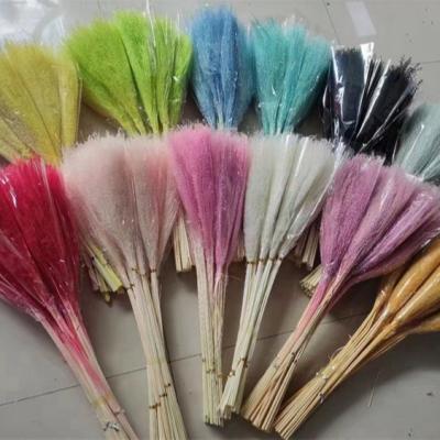 China V-1226 Environmental Protection Small Ponytail Beater Flower Green Hot Selling Pampas Grass For Table Decoration for sale