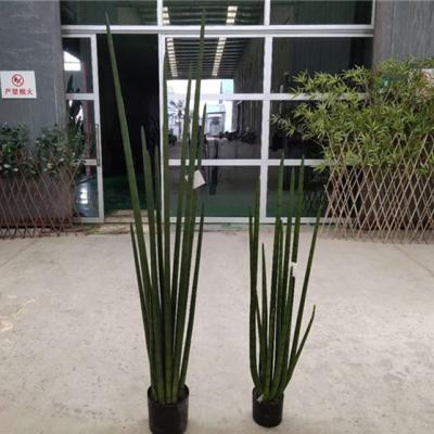 China Art Decor Customized Artificial Pu Plastic Sansevieria Cylindrica Snake Gree Tree Plants Alismoides Pot For Garden Decoration for sale