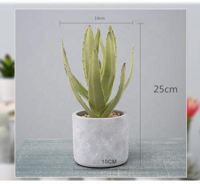 China Valentine S-3202 New Design Cheap Plant Direct Artificial Plastic PU Green Cactus Plants For Home Decoration for sale