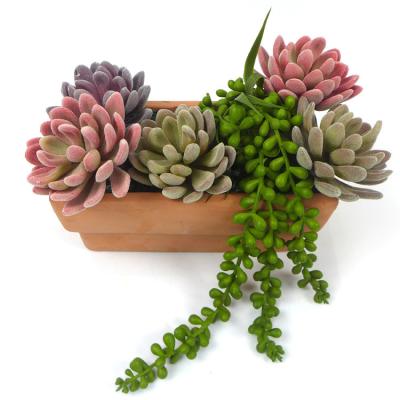 China Hot Selling Flocking Plastic Green Lotus Flowers Artificial Environmental Protection Succulent Plants V-3205 as a set for sale