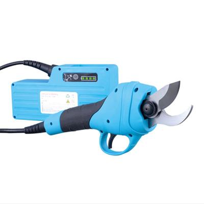 China Long IS Length Electric Garden Tools Stick High Shears Battery Powered Pruners for sale