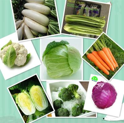 China Chinese Fresh Mixed Vegetable Broccoli Radish White Celery Cauliflower/Red Cabbage /Carrot Supplying To The World for sale