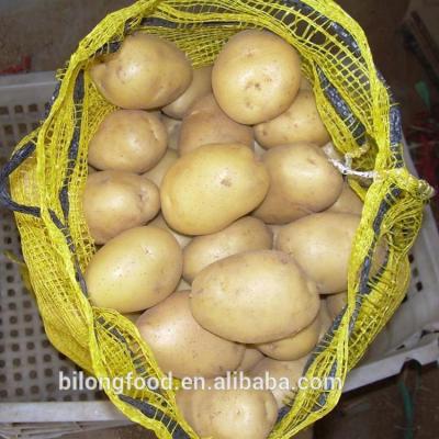 China Direct wholesale fresh Chinese fresh potato manufacturing (Holland 15) for sale