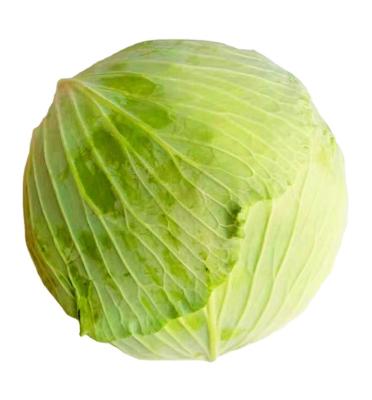 China Round 2022 GAP Fresh Chinese Fresh Cabbage / Wholesale Price Flat / Purple To Malaysia UAE Canada Singapore for sale