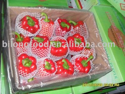 China fresh fresh pepper for sale