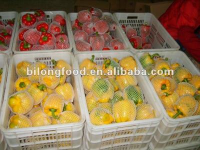 China 2017 fresh new crop fresh pepper (porcelain) for sale