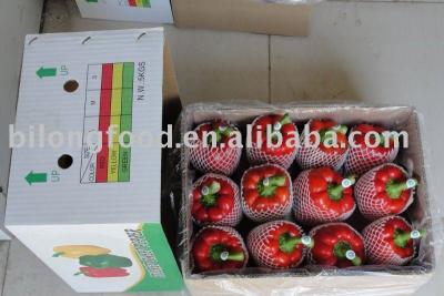 China 2017 Chinese New Culture Fresh Red Pepper for sale