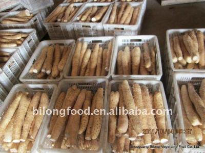 China Wholesale Fresh New Crop Chinese Yam for sale