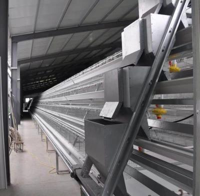 China Cultivates popular automatic feeding layer battery cage equipment for sale