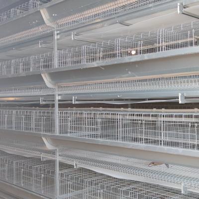 China Farms Best Price Poultry Farming Equipment H Type Layer Chicken Cage Battery Layer Cage For Sale for sale